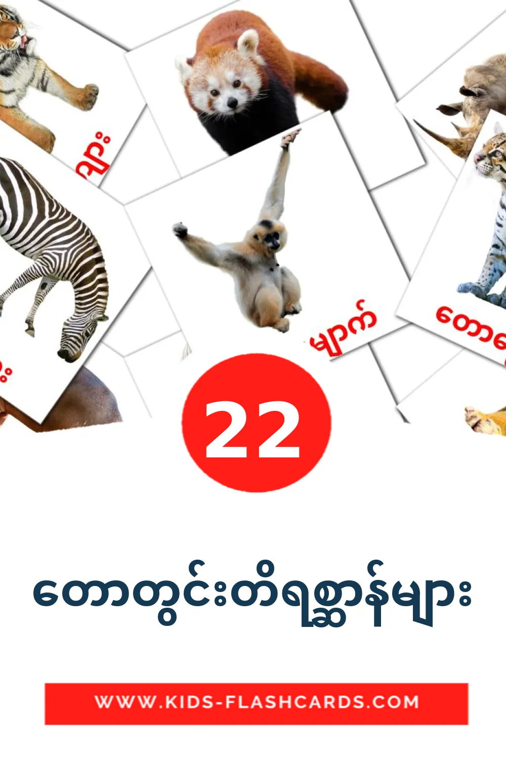 22 carte illustrate di တောတွင်းတိရစ္ဆာန်များ per la scuola materna in birmano