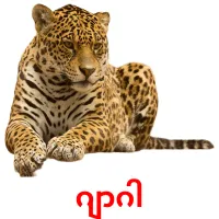 ဂျာဂါ flashcards illustrate