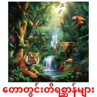 တောတွင်းတိရစ္ဆာန်များ picture flashcards