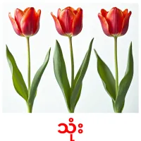 သုံး picture flashcards