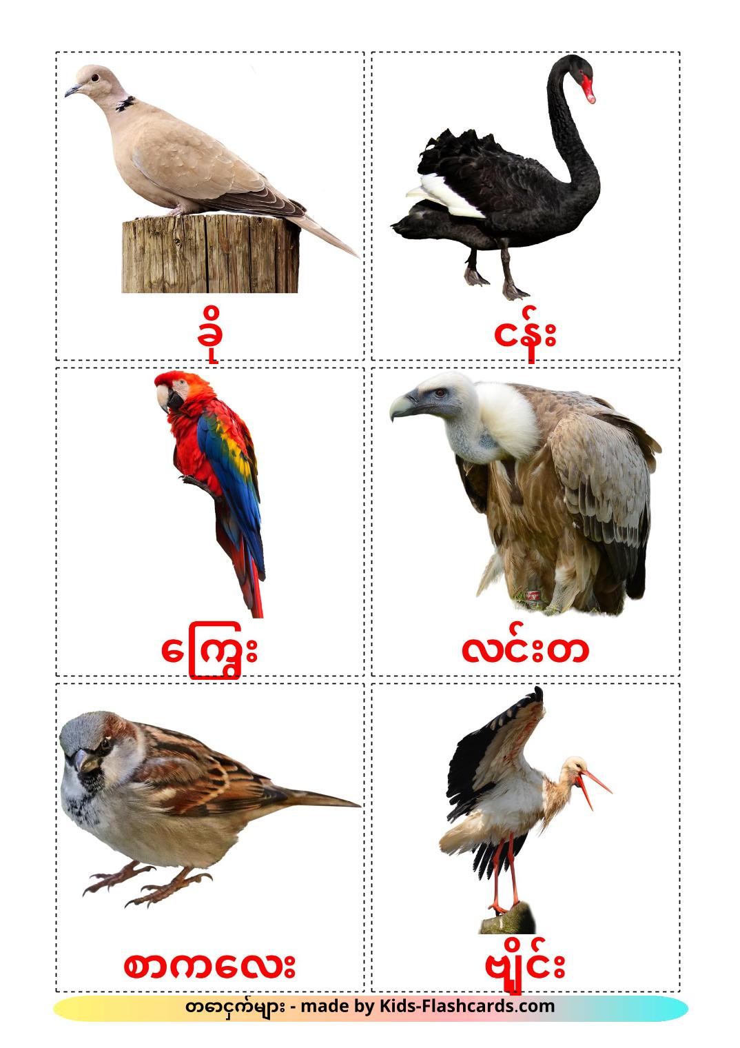 Wild birds - 18 Free Printable burmese Flashcards 