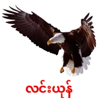 လင်းယုန် ansichtkaarten