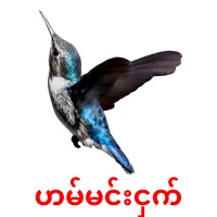 ဟမ်မင်းငှက် flashcards illustrate