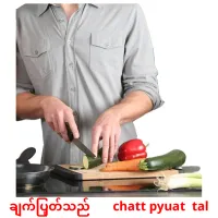 ချက်ပြုတ်သည်       chatt pyuat  tal cartes de vocabulaire