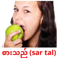 စားသည် (sar tal) cartes de vocabulaire