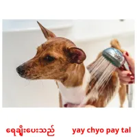 ရေချိုးပေးသည်         yay chyo pay tal cartes de vocabulaire