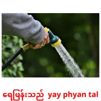 ရေဖြန်းသည်  yay phyan tal cartes de vocabulaire