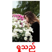 ရှူသည် cartes de vocabulaire
