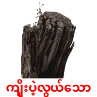 ကျိုးပဲ့လွယ်သော карточки энциклопедических знаний