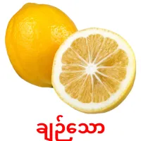 ချဉ်သော карточки энциклопедических знаний