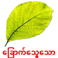 ခြောက်သွေ့သော карточки энциклопедических знаний