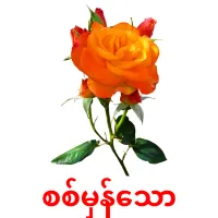 စစ်မှန်သော карточки энциклопедических знаний