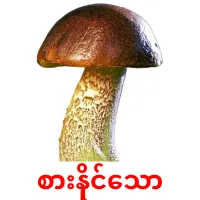 စားနိုင်သော карточки энциклопедических знаний
