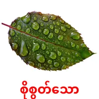 စိုစွတ်သော карточки энциклопедических знаний
