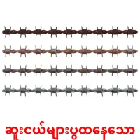 ဆူးငယ်များပွထနေသော карточки энциклопедических знаний