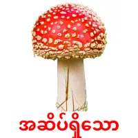 အဆိပ်ရှိသော карточки энциклопедических знаний
