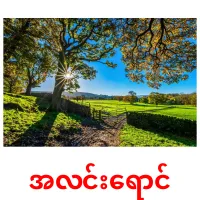 အလင်းရောင် карточки энциклопедических знаний