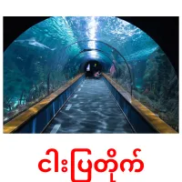 ငါးပြတိုက် Bildkarteikarten