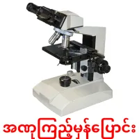 အဏုကြည့်မှန်ပြောင်း cartões com imagens