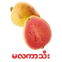 မလကာသီး card for translate