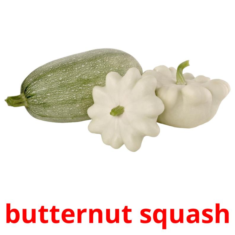 butternut squash picture flashcards