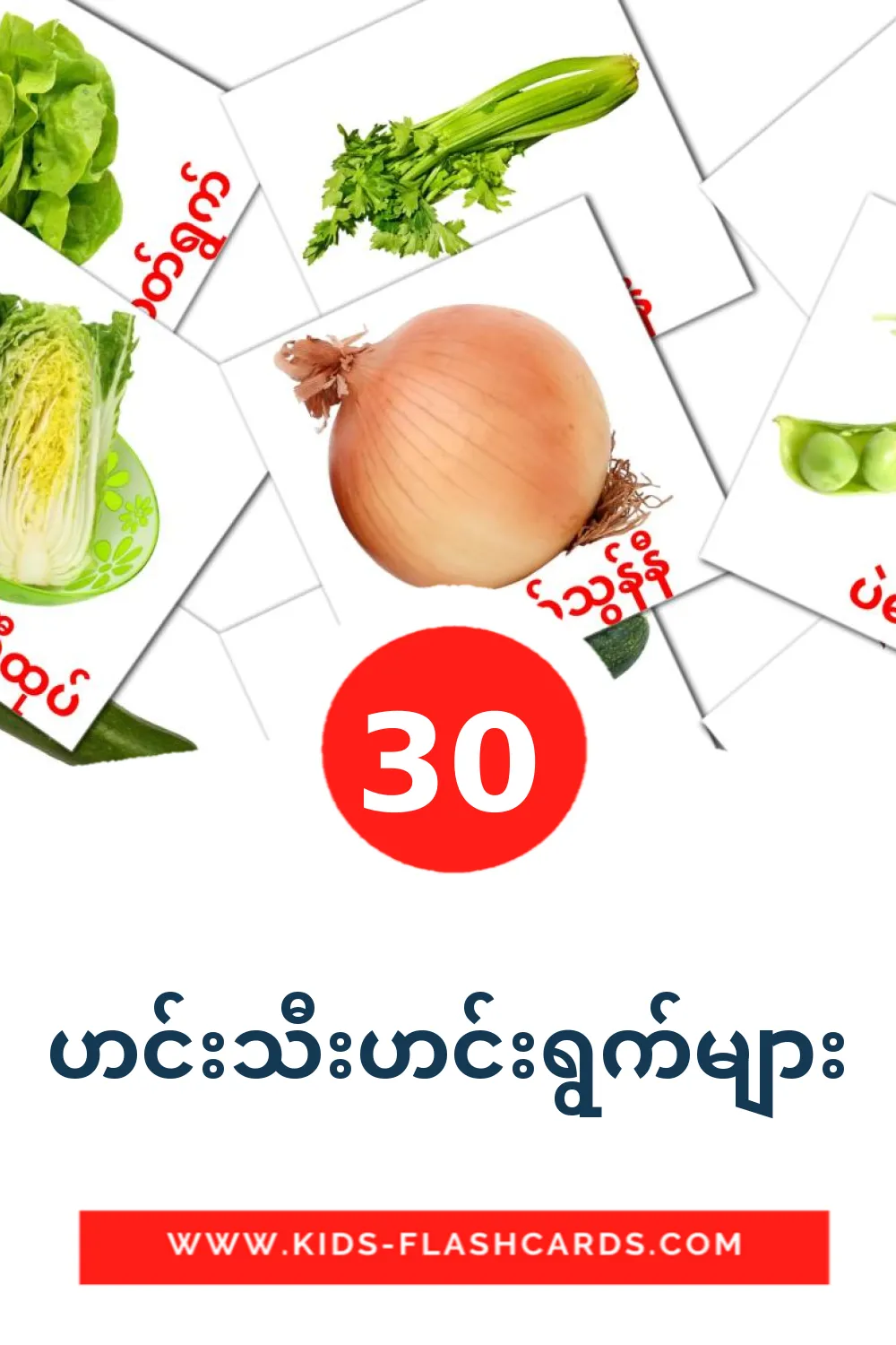 30 ဟင်းသီးဟင်းရွက်များ Picture Cards for Kindergarden in burmese