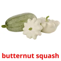 butternut squash picture flashcards