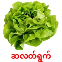 ဆလတ်ရွက် picture flashcards