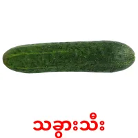 သခွားသီး picture flashcards