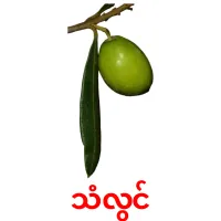 သံလွင် picture flashcards