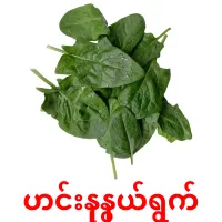 ဟင်းနုနွယ်ရွက် picture flashcards