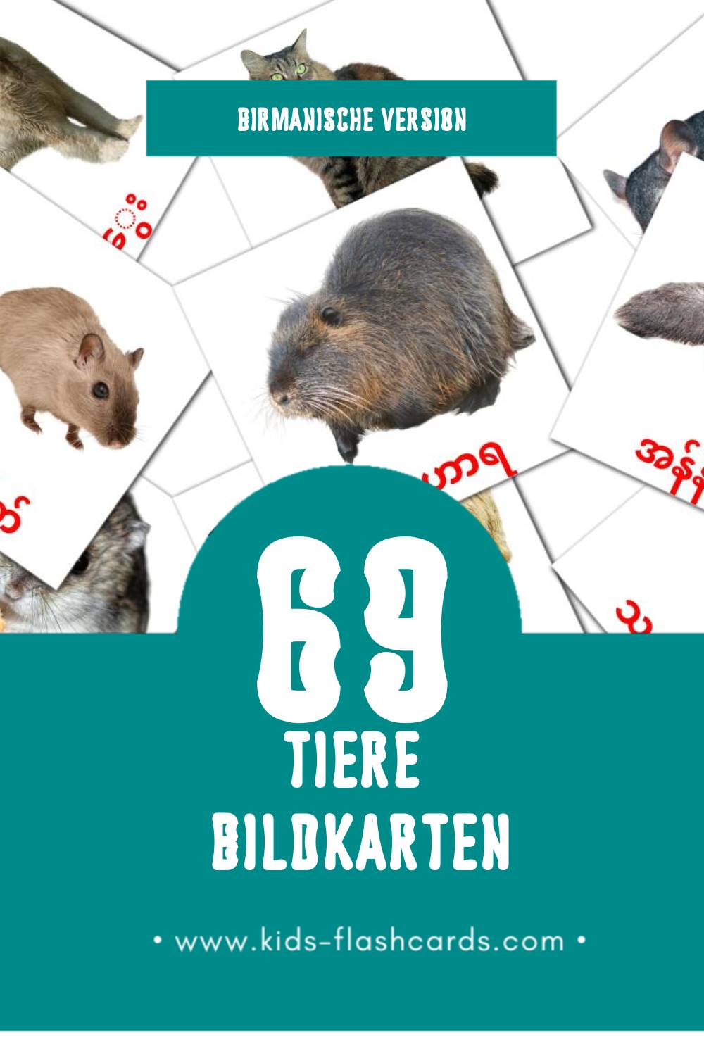Visual တိရစ္ဆာန်များ Flashcards für Kleinkinder (69 Karten in Birmanisch)