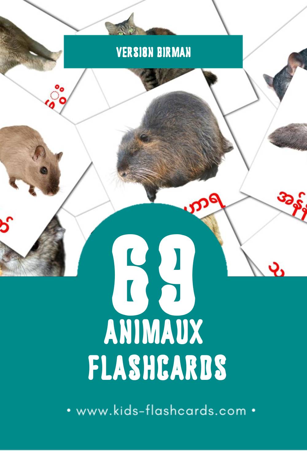 Flashcards Visual တိရစ္ဆာန်များ pour les tout-petits (46 cartes en Birman)