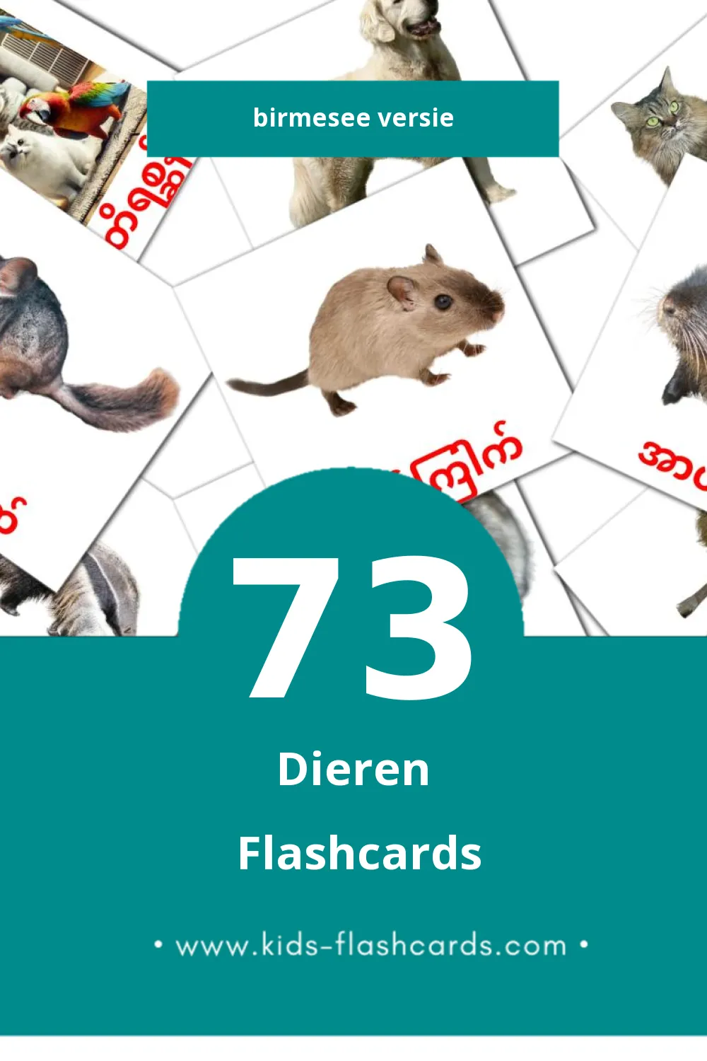 Visuele တိရစ္ဆာန်များ Flashcards voor Kleuters (73 kaarten in het Birmese)