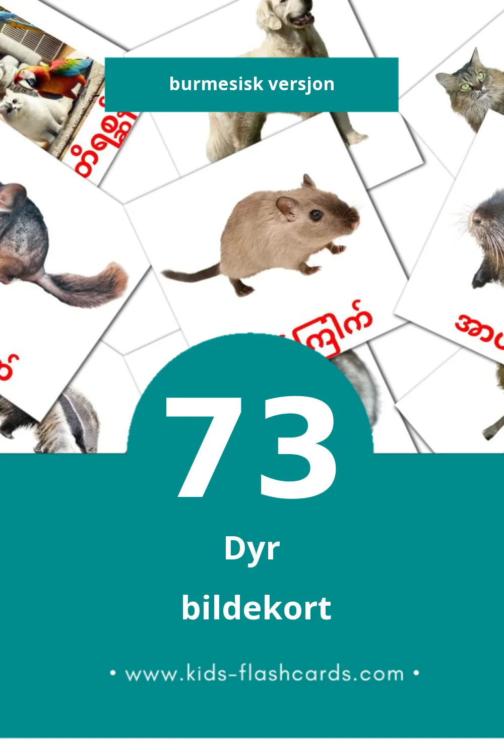 Visuelle တိရစ္ဆာန်များ bildekort for småbarn (73 kort på Burmesisk)