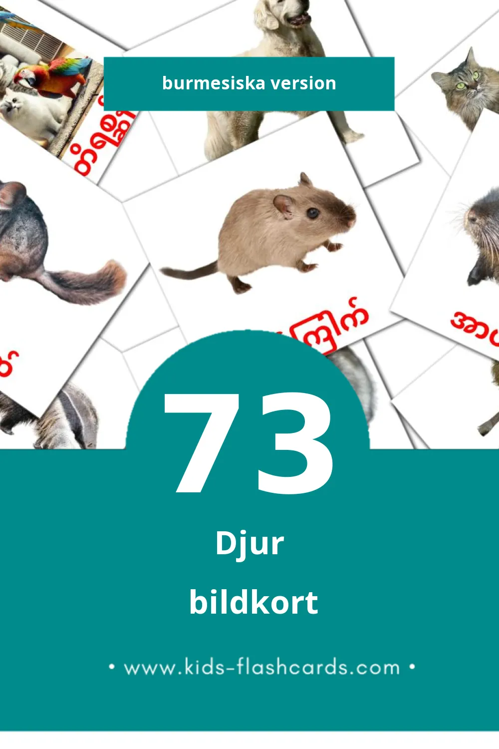 Visuella တိရစ္ဆာန်များ för småbarn (73 bildkort för barn på Burmesiska)