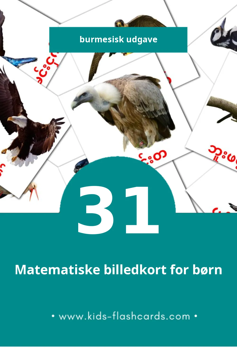 Visuelle billedkort for børn om ငှက်များ til småbørn (31 kort på Burmesisk)