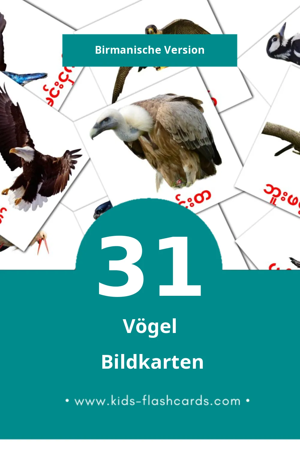 Visual ငှက်များ Flashcards für Kleinkinder (31 Karten in Birmanisch)