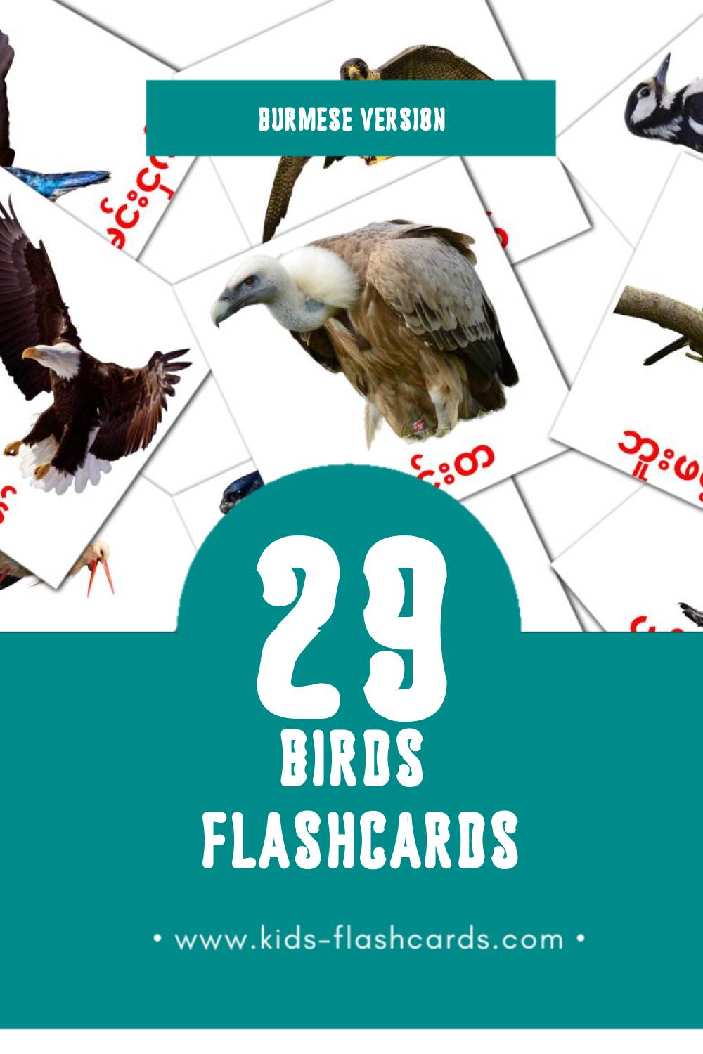 Visual ငှက်များ Flashcards for Toddlers (29 cards in Burmese)