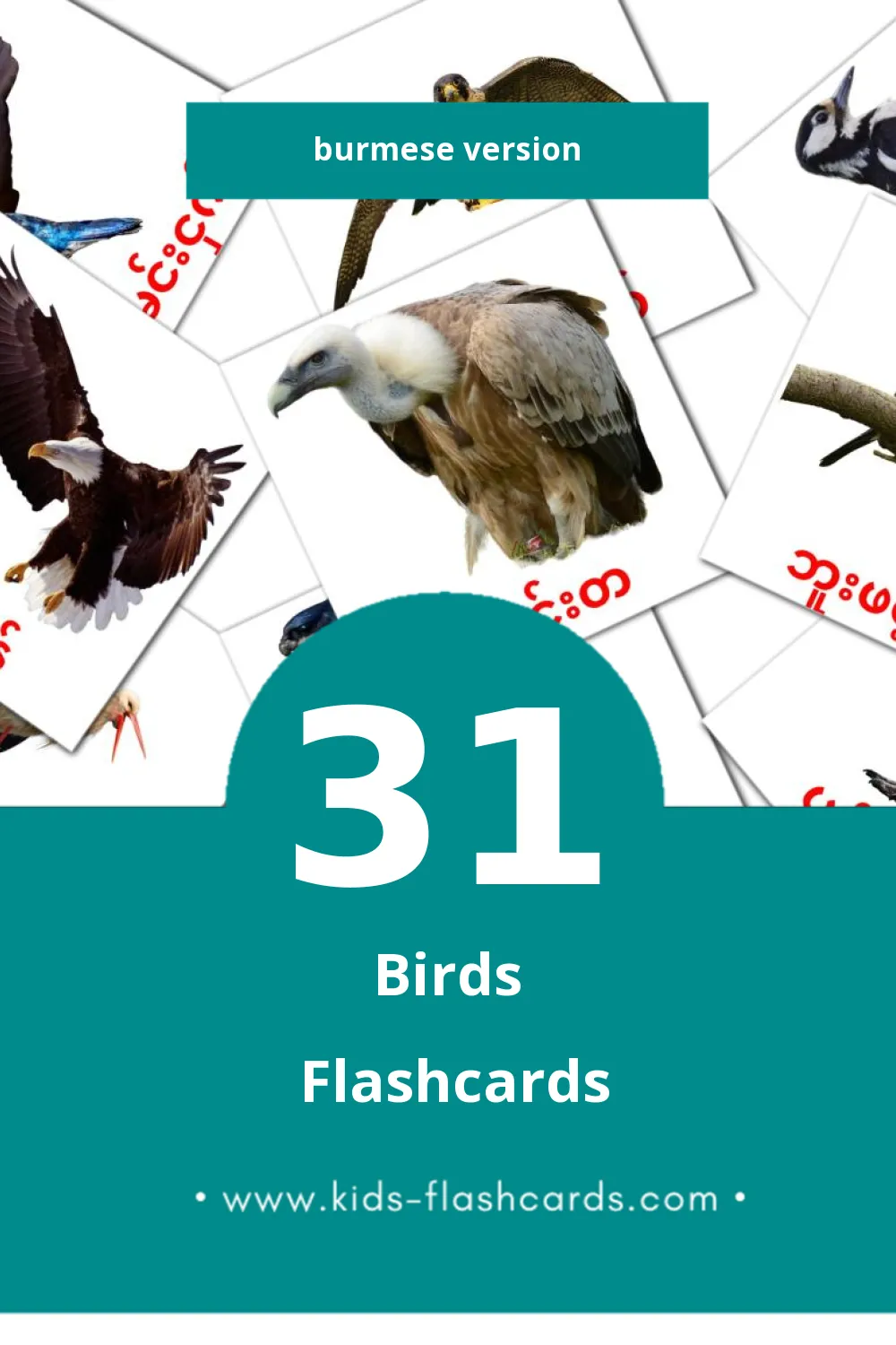 Visual ငှက်များ Flashcards for Toddlers (31 cards in Burmese)