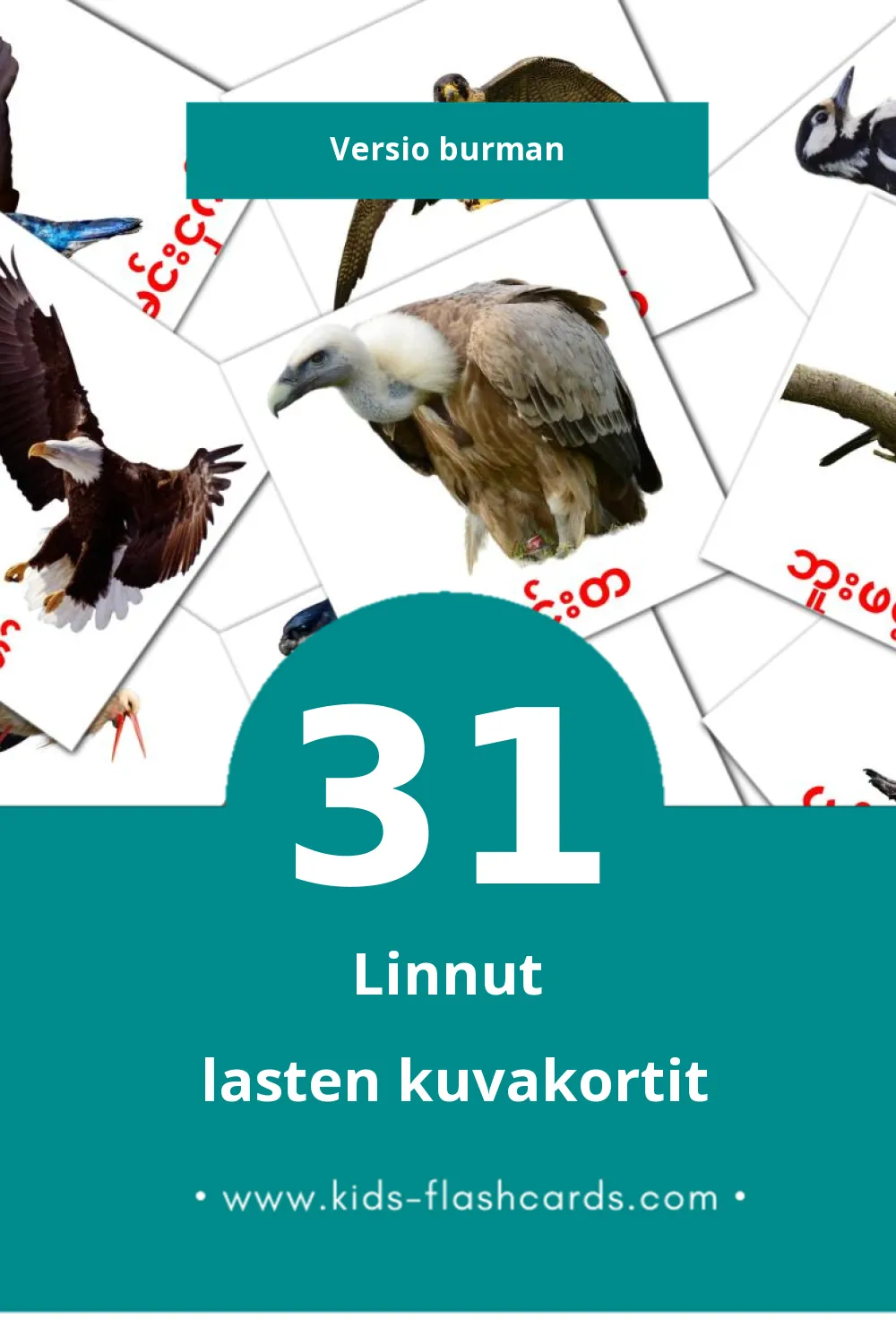 ငှက်များ lasten kuvakortit pikkulapsille (31 korttia Burmanksi)