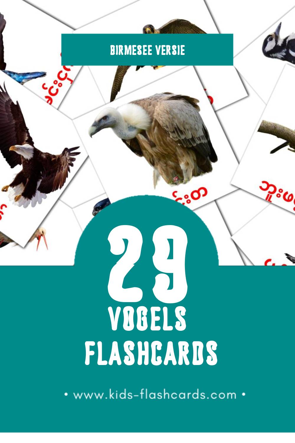 Visuele ငှက်များ Flashcards voor Kleuters (29 kaarten in het Birmese)