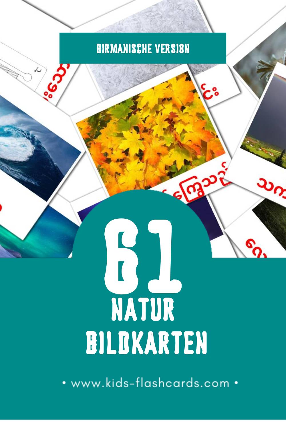 Visual သဘာဝ Flashcards für Kleinkinder (61 Karten in Birmanisch)