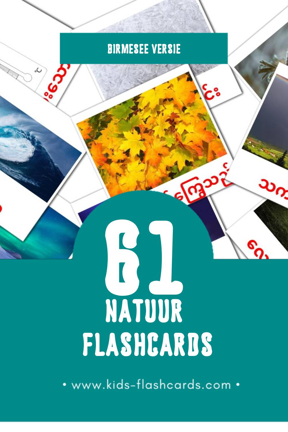 Visuele သဘာဝ Flashcards voor Kleuters (61 kaarten in het Birmese)