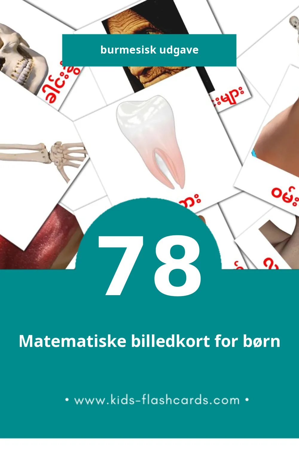 Visuelle billedkort for børn om လူ til småbørn (78 kort på Burmesisk)