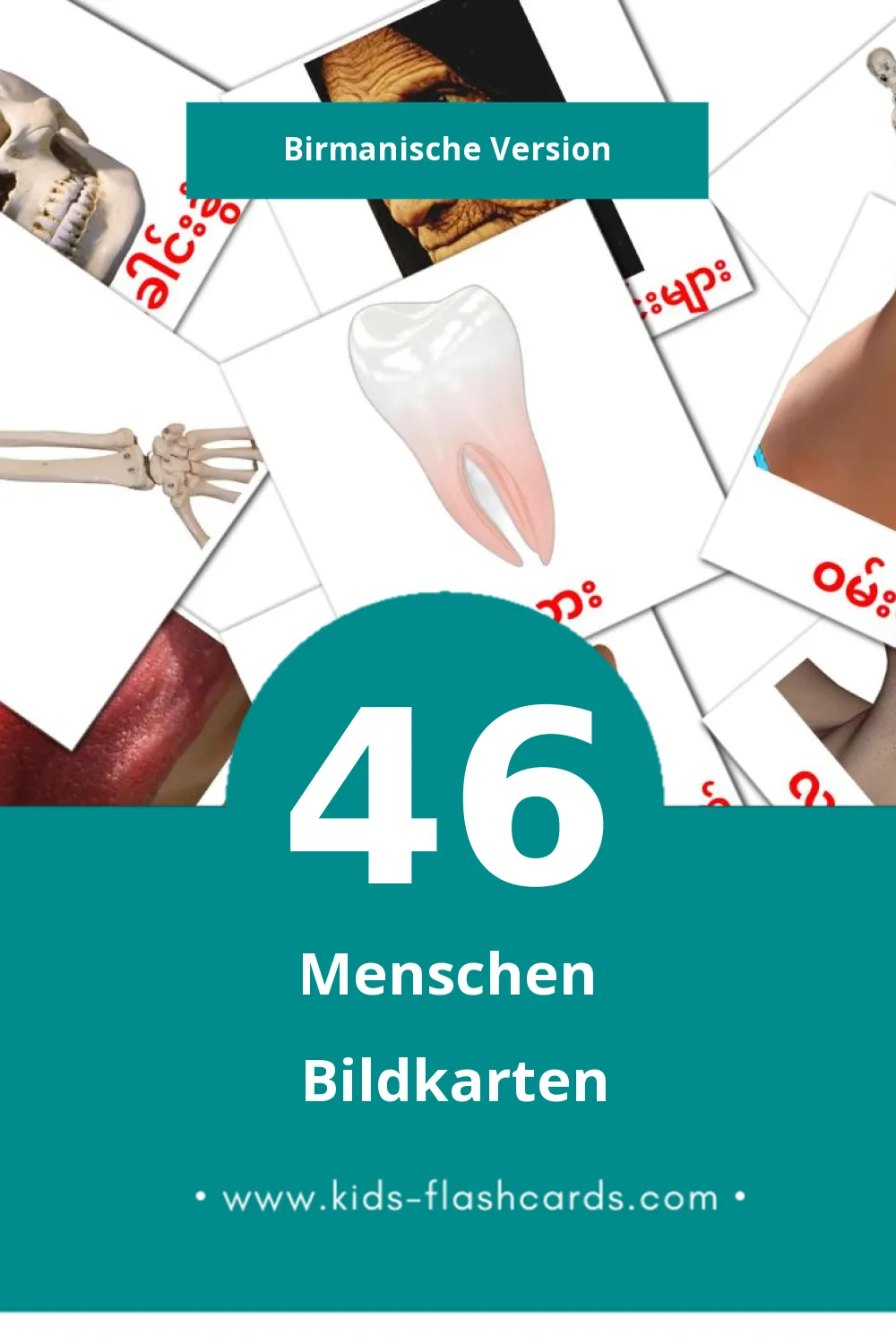 Visual လူ Flashcards für Kleinkinder (46 Karten in Birmanisch)