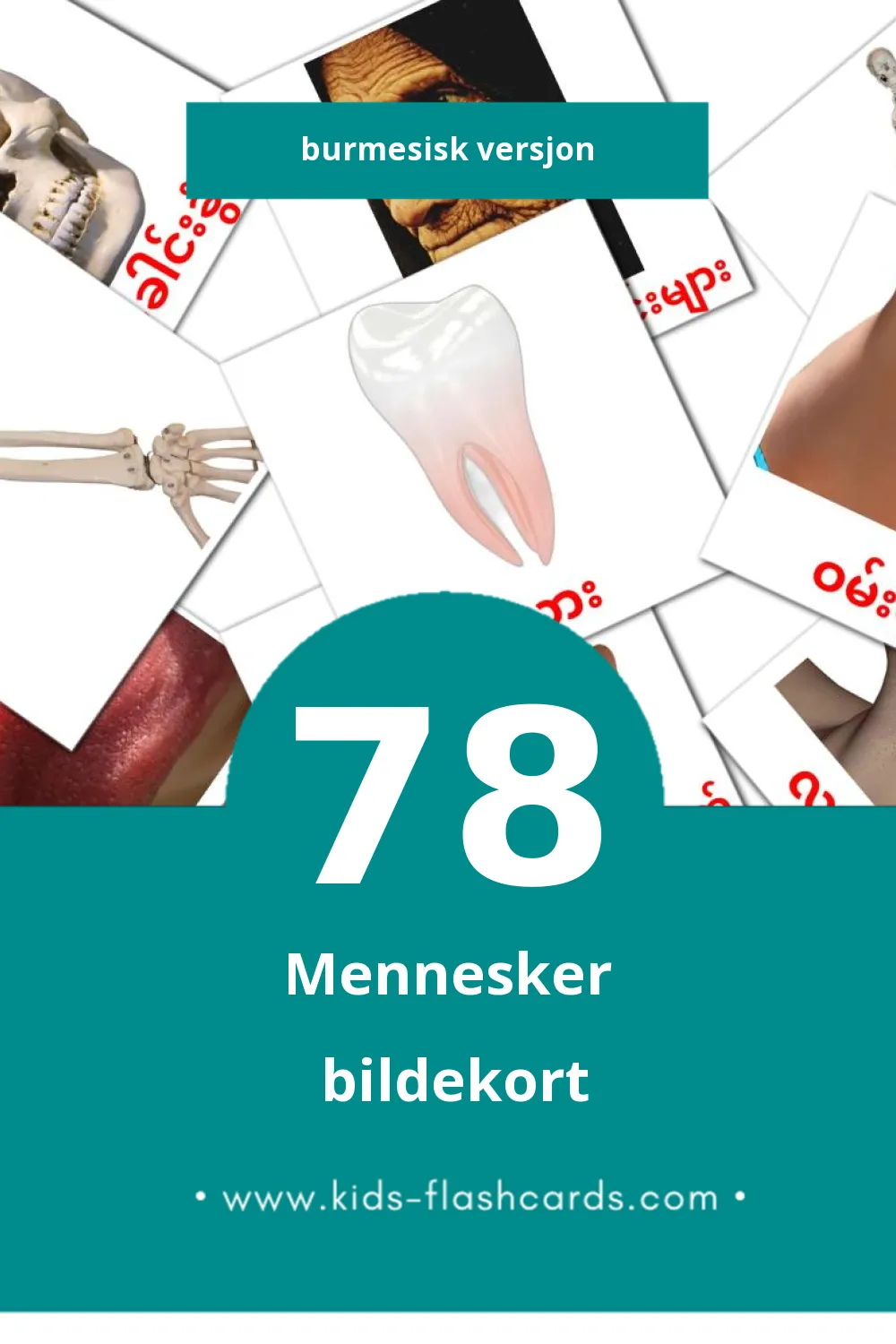 Visuelle လူ bildekort for småbarn (78 kort på Burmesisk)