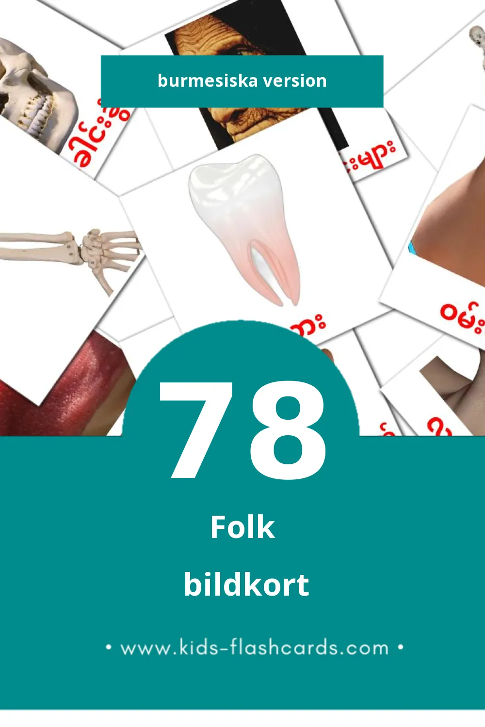 Visuella လူ för småbarn (78 bildkort för barn på Burmesiska)