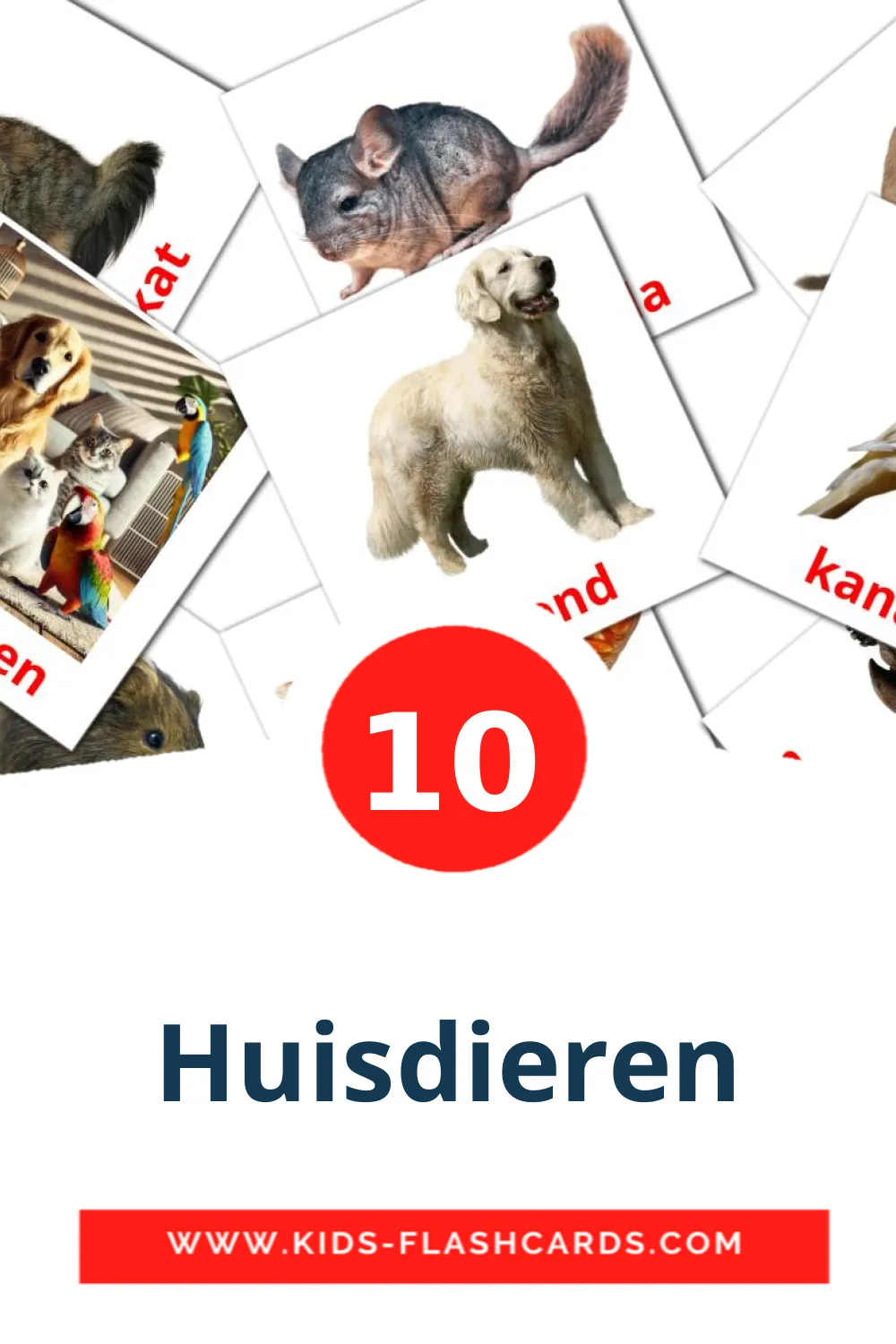 10 cartes illustrées de Huisdieren pour la maternelle en néerlandais