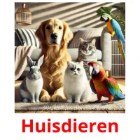 Huisdieren cartes flash